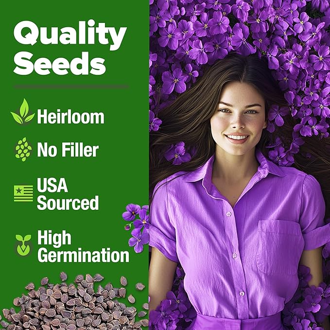 HOME GROWN Flower & Herb Seed Trio – 1,000+ 𝗡𝗢𝗡-𝗚𝗠𝗢 -𝗦𝗢𝗨𝗥𝗖𝗘𝗗 Seeds: White Lilac, Aubrieta Rock Cress & Dandelion – Heirloom 𝗨𝗦𝗔-Grown for Pollinators, Ground Cover & Medicinal Uses