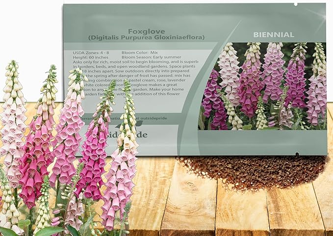 Outsidepride Digitalis Purpurea Gloxiniaeflora Mix Foxglove Seeds – 5000 Pcs Biennial, Prolific, Tall Growing Flower Seeds with Pollinator-Friendly Blooms for Shaded Gardens & Outdoor Landscapes