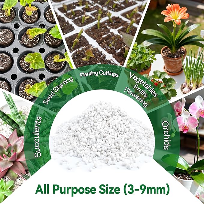 ZeeDix Premium Perlite for Plants, Horticulture Soil Amendment, 3-9mm Granule Size Potted Plant Soil for Orchid Cactus Succulents Carnivorous Monstera Repotting, Indoor Outdoor Gardening, 1QT