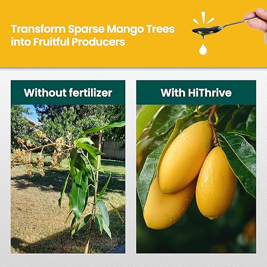 16oz Mango Fruit Tree Fertilizer - Makes 16 Gallons of Mango Tree Fertilizer for Mangoes, Nutrient-Rich Liquid Plant Food for Strong Roots, Lush Foliage, and Abundant, Juicy Mangos