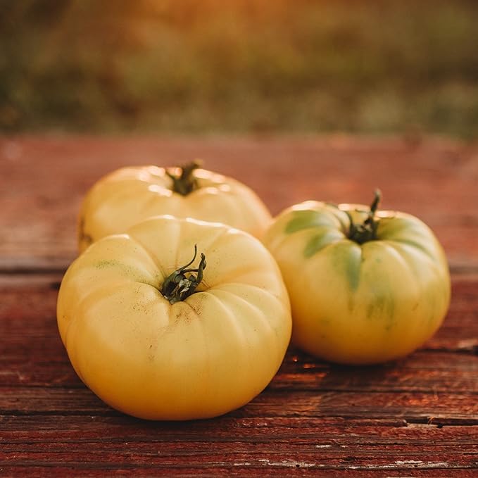 Hensley Settlement Heirloom Yellow Tomato - 50 Seeds - Rare Heirloom, Low Acid Variety, Non-GMO Vegetable Seeds for Planting in The Home Garden, Thresh Seed Company