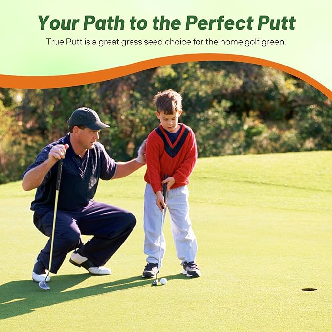 Outsidepride True Putt Perennial Creeping Bluegrass Seed - 10 Lbs. Shade-Tolerant Bluegrass for Golf Courses & Home Putting Greens - Ideal for Dense, Fine-Textured Lush Turf in Low-Light Areas