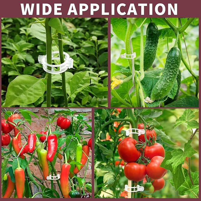 Clear Plant Support Clips 50 PCS, Reusable Plastic Garden Clips for Climbing Plants, Tomato Trellis Clips for Cucumber Eggplant Grape