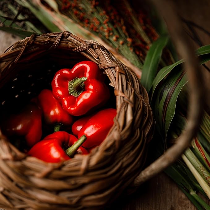 Ozark Giant Red Bell Pepper - 25 Seeds - Sweet Heirloom Variety, Great for Southern Gardens, Non-GMO Vegetable Seeds for Planting Outdoors in The Home Garden, Thresh Seed Company
