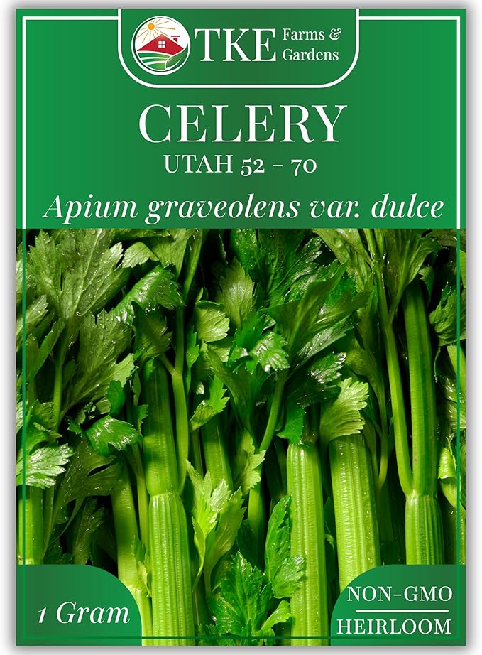 TKE Farms & Gardens - Utah 52-70 Celery Seeds for Planting, Heirloom, Non-GMO, 2500+ Seeds, 1g Packet, Ideal for Fall & Winter Vegetable Gardens, Includes Growing Instructions