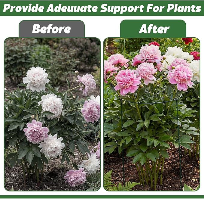 4 Pack Round Peony Cages and Supports 12 x 16 Inches (D x H) Grow Through Grid Plant Brace Plant Support Stake Heavy Duty Metal Flower Support Rings for Rose Tomato Hydrangea Strawberry