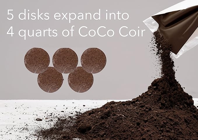 CaliKiwiPros 5 Large 65gm Coco Coir disks Ideal Potting Soil for Indoor & Outdoor Plants. 1 Disk Creates 1.5lbs of Soil Fills a 9'' x 6'' Plastic Bag. Greatest Volume & Value as Almost 4 quarts.