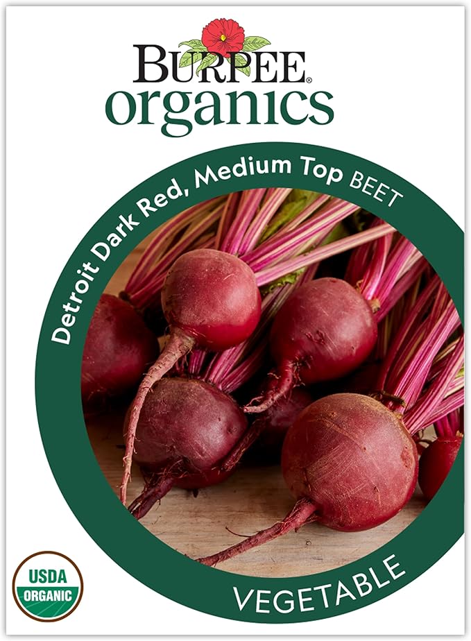 Burpee Organic Detroit Dark Red Beet Seeds - Dual-Purpose Root and Greens