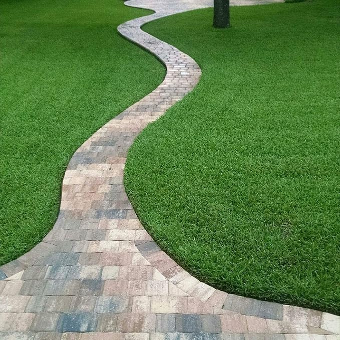 St. Augustine 'Seville' Sod - 9 Live Plugs - Drought, Salt & Shade Tolerant Turf Grass