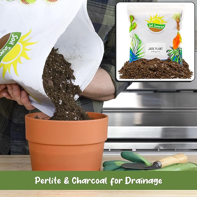 Soil Sunrise Jade Plant Potting Soil Mix (8 Quarts) Hand Blended Additive for Jade Succulents