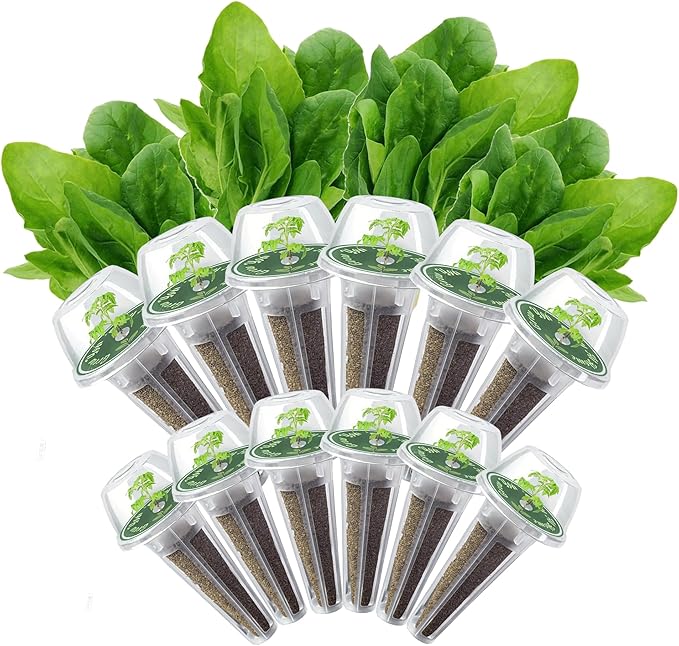 Spinach Seed Pods Kit for Hydroponic, 12 Pods Grow Anything Hydroponics Kit for Indoor Garden, Hydroponics Supplies with 12 Grow Sponges, 12 Plant Baskets, Spinach Seeds - 12 POD