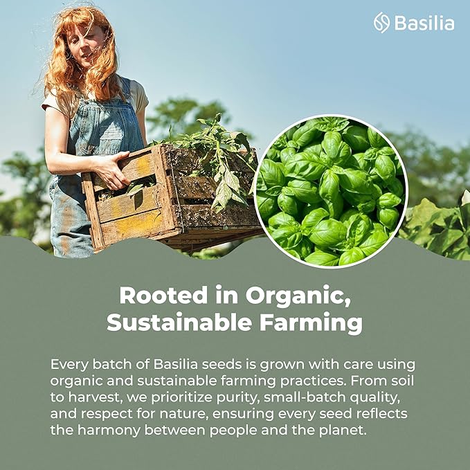 Basilia Basil Seeds Organic for Eating | 2x More Fiber than Chia | Nutrition-Packed Edible Basil Seeds Superfood for Breakfast, Smoothies & Drinks | Keto Friendly & Gluten Free | 1lb Bag