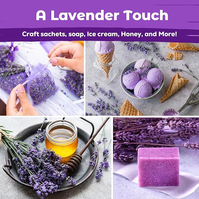7,000+ Lavender Seeds Large Non GMO 3/4 Ounce Packet English Lavender Seeds- Heirloom Seeds Lavandula Angustifolia Wildflower Seed for Planting Indoor/Outdoor, High Germination, Plant Flower Seeds