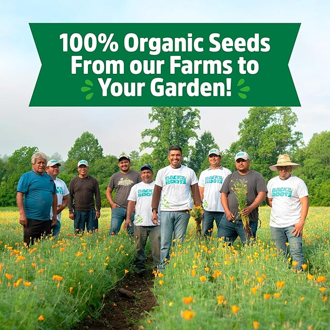 Back to The Roots 100% Organic Seed Packet - Chamomile 'German' 70mg