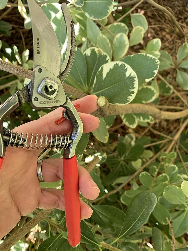 Corona Tools Forged Steel ClassicCUT Bypass Hand Pruner – 1-Inch Cut Capacity Garden Pruning Shears for Stems & Branches, Heavy-Duty Bypass Pruners for Tree, Shrub & Plant Trimming