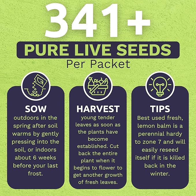 Sweet Yards Seed Co. Organic Lemon Balm – Two Seed Packets! – Approx. 682 Open Pollinated Non-GMO Herb Seeds