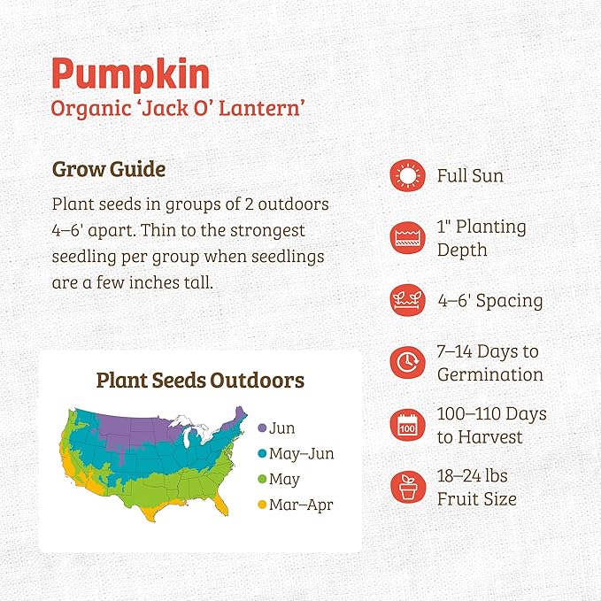 Back to The Roots 100% Organic Seed Packets - Pumpkin 'Jack O'Lantern' (Pack of 2)