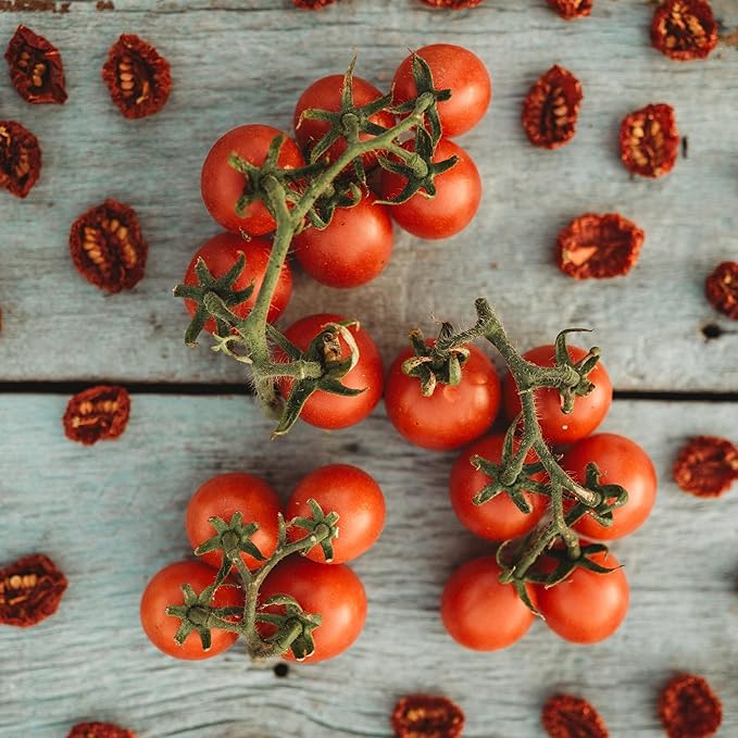 Principe Borghese Tomato - 50 Seeds - Italian Heirloom Sun-Drying Tomato, Open-Pollinated Variety, USA-Grown, Non-GMO Vegetable Seeds for Planting Outdoors in The Home Garden, Thresh Seed Company