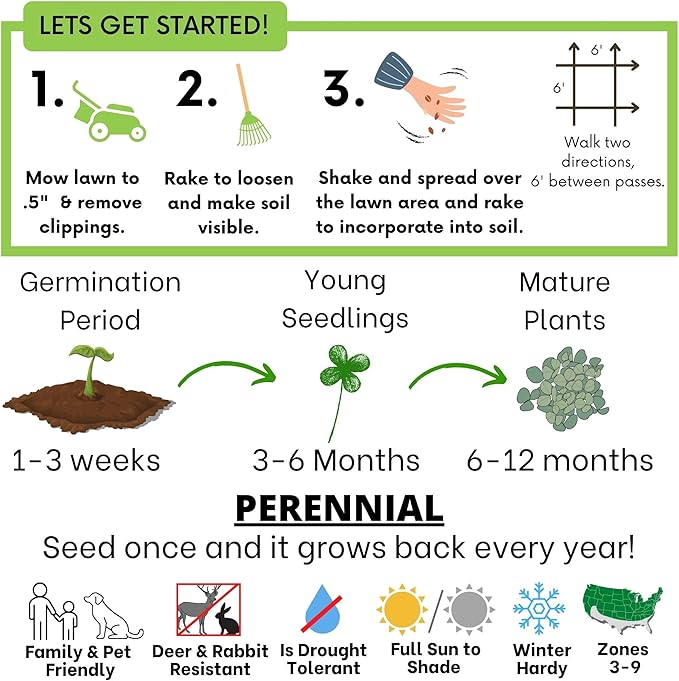 Flawn Seed Kits Micro Clover Seed, 8.8 oz, Organic Coated, Eco-Friendly, Low Growing, Low Maintenance, Lawn Alternative, Kraft Zipper Pouch, Covers up to 2,000 Sqft