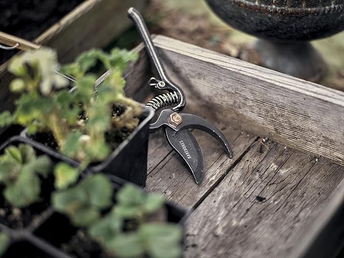 Barebones Pruner - Heavy Duty, Non-Slip Pruning Shears with Durable Blades - Old World Japanese Design, Plant Trimming Scissors - Ideal Houseplant Accessories & Garden Tools