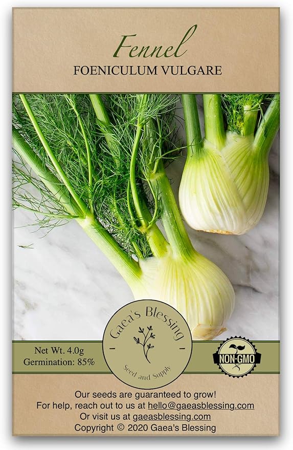 Gaea's Blessing Seeds - Fennel Seeds (2.0g) - Non-GMO Seeds with Easy to Follow Planting Instructions - Herb Seeds 85% Germination Rate