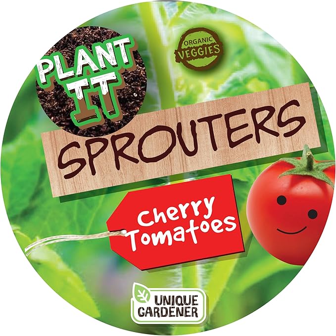 Plant-It Starters Plant Seeds 4-Pack, DIY Indoor Succulents and Live Plants for Home or Garden Planting, Grape Tomato