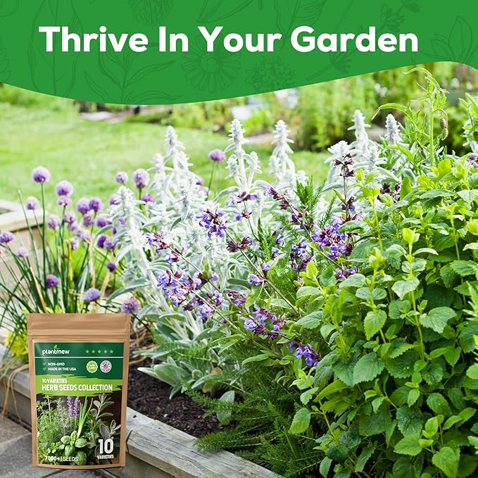 10 Herb Seeds Variety Pack - 7,000+ Heirloom Non-GMO Seeds - Basil, Cilantro, Lavender, Parsley, Dill, Thyme, Chives, Oregano, Sage, Herb Garden Kit for Planting Home Garden, Gardening Gift
