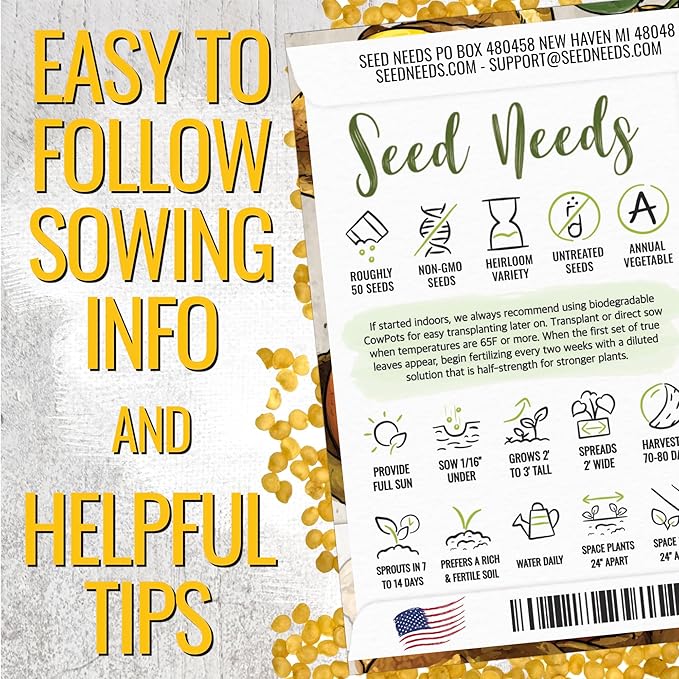 Seed Needs Ground Cherry Tomatillo Seeds for Planting - Non-GMO, Heirloom & Untreated Physalis pruinosa - Edible Cape Gooseberry/Golden Berries to Grow an Outdoor Vegetable Garden (5 Packs)