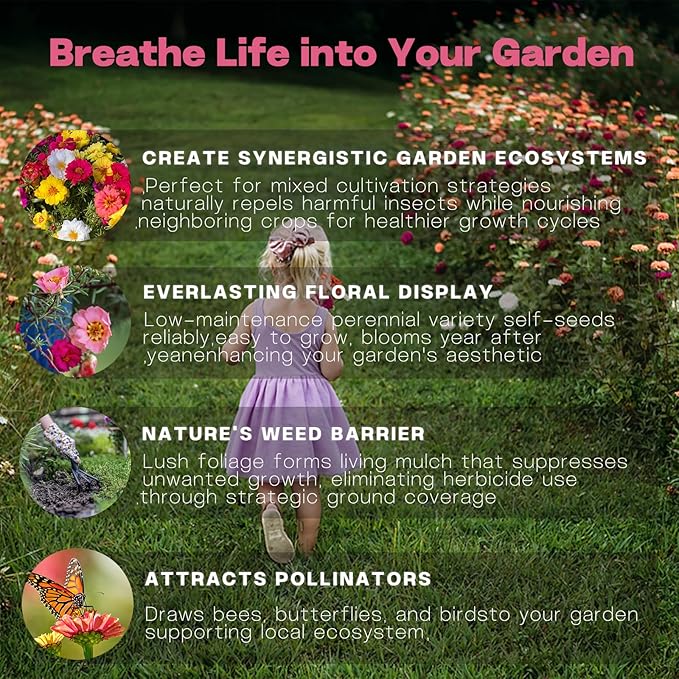 Portulaca Grandiflora & Moss Rose Seeds | 10,000+ Annual Non-GMO Heirloom Seeds for Planting Moss Roses, Rock Gardens & Climbing Roses | High Germination, Beginner-Friendly