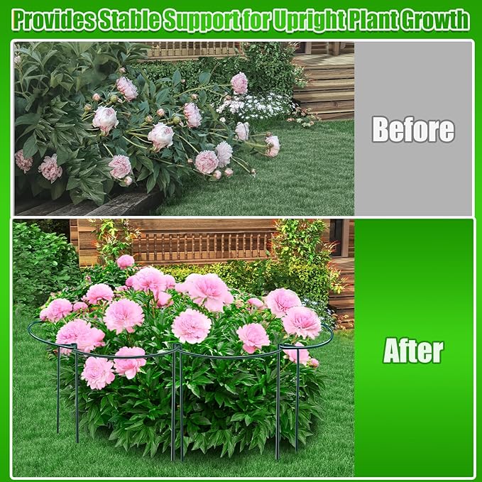 8 Pack Peony Support Cages, 10" W x 16" H Half Round Peony Plant Supports, Heavy Duty Metal Plant Support Stakes, Green Garden Plant Support Rings for Peony, Hydrangea, Roses & Flowers