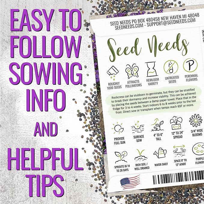 Seed Needs Purple Rockcress Seeds for Planting - Heirloom & Open Pollinated Perennial Flower Great for Rock Gardens, Groundcover, Attracts Pollinators (2 Packs)