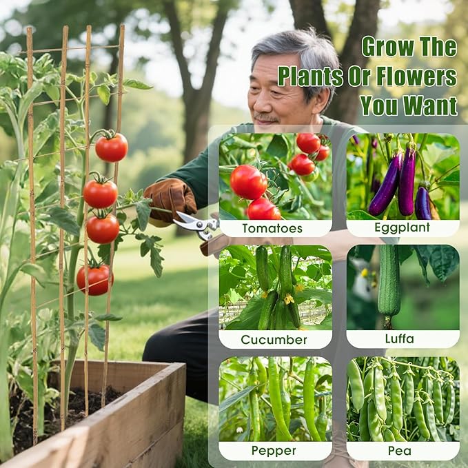 Bamboo Trellis,4.8Ft,3Pack,Climbing PlantsTrellis, Fan-Shaped Trellis,for Outdoor and Indoor Potted Climbing Plants,Vegetables, Cucumber, Tomato, Hoya