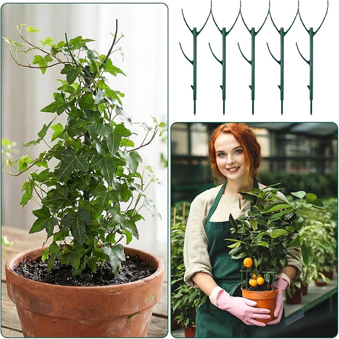 5 Pack Plant Pins for Indoor Plants Stackable Monstera Plant Support, Plant Stakes Climbing Plant Support Structures Plant Holder Stick Moss Pole for Support Tall Potted Plants Outdoor