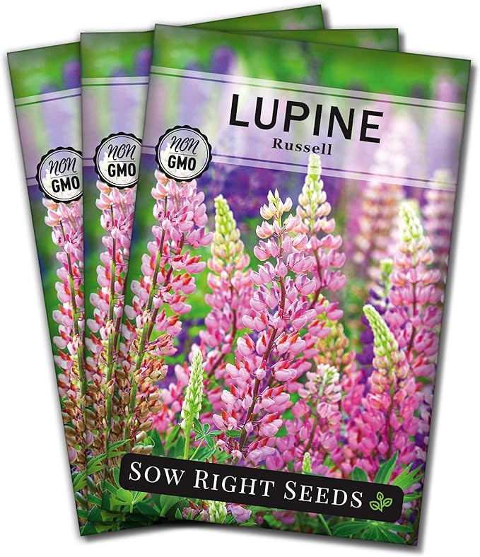 Sow Right Seeds - Russell Lupine Seeds for Planting - Non-GMO Heirloom Packet with Instructions to Plant in Your Garden - Perennial Flower to Attract Hummingbirds and Bees - Spiked Wildflower Mix (3)