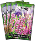Sow Right Seeds - Russell Lupine Seeds for Planting - Non-GMO Heirloom Packet with Instructions to Plant in Your Garden - Perennial Flower to Attract Hummingbirds and Bees - Spiked Wildflower Mix (3)