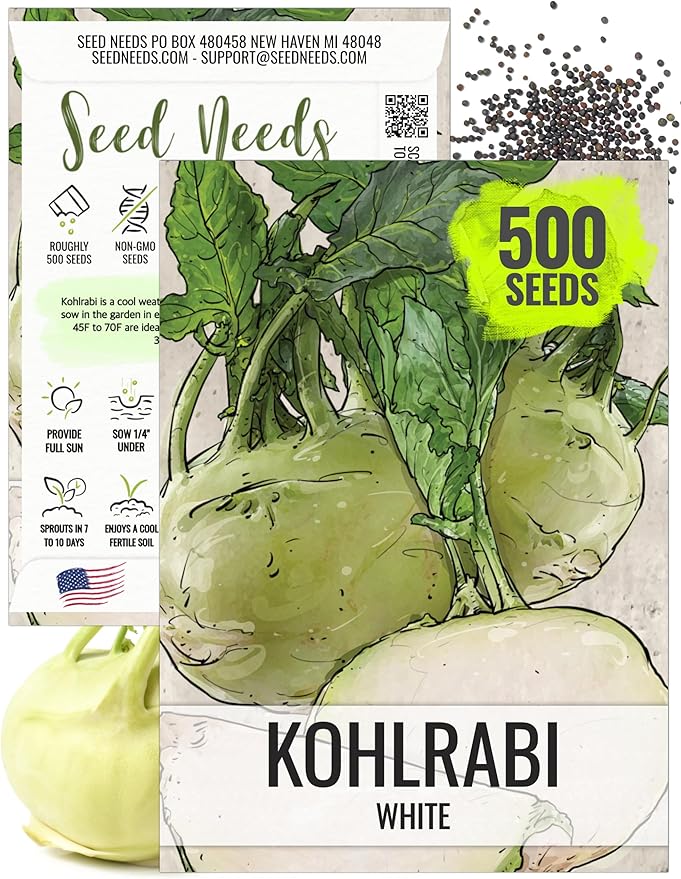 Seed Needs Kohlrabi Seeds for Planting Early White Vienna Kohlrabi Crops - Non-GMO Heirloom & Untreated Vegetable Seed to Plant an Outdoor Heirloom Home Grown Veggie Garden (1 Pack)
