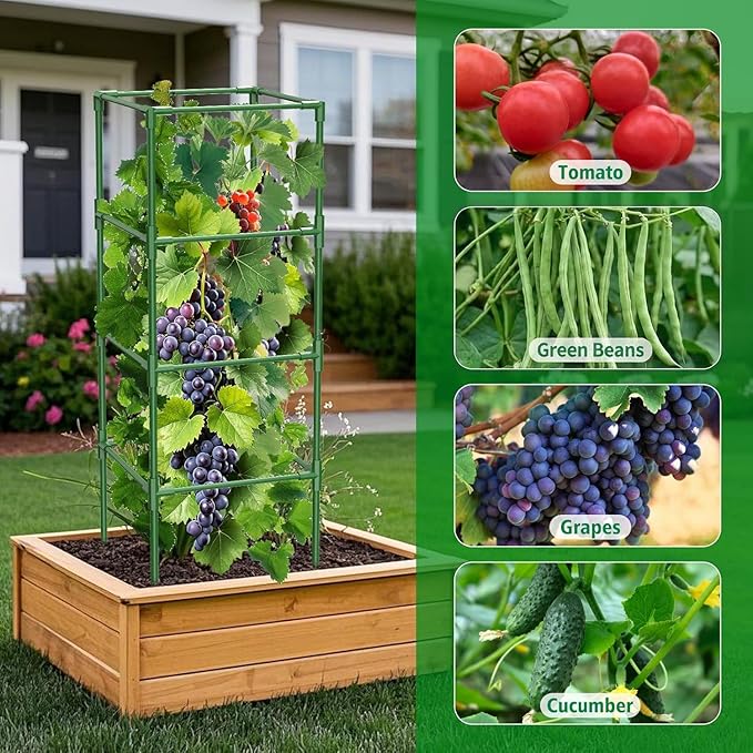 3 Pack Square Tomato Cages, 42 inch Heavy Duty Metal Steel Tomato Plant Cage Support with Clips, Height Adjustable Tomatoes Trellis for Raised Garden Bed Climbing Plants