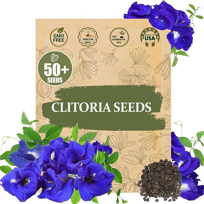 Premium Clitoria Ternatea Butterfly Pea Seeds - 50 Non-GMO Seeds, Blue Pea Vine for Garden, Herbal Tea, Medicinal Plant, Fast-Growing Climbing Flower for Home & Outdoor Gardening