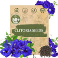 Premium Clitoria Ternatea Butterfly Pea Seeds - 50 Non-GMO Seeds, Blue Pea Vine for Garden, Herbal Tea, Medicinal Plant, Fast-Growing Climbing Flower for Home & Outdoor Gardening