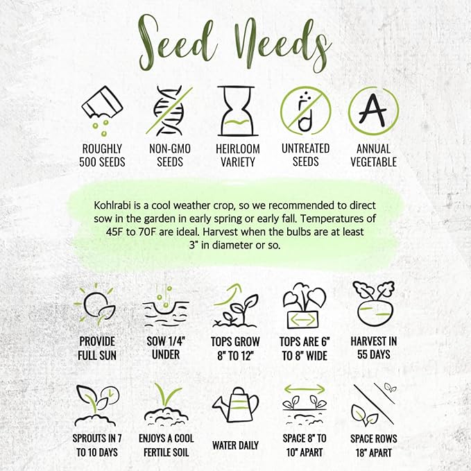 Seed Needs Kohlrabi Seeds for Planting Purple Vienna Kohlrabi Crops - Non-GMO Heirloom & Untreated Vegetable Seed to Plant an Outdoor Home Grown Veggie Garden (White Kohlrabi, 5 Packs (2,500 Seeds))