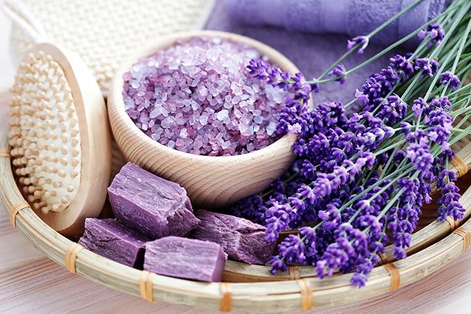 Seeds Lavender Herbs Garden for Planting Non GMO