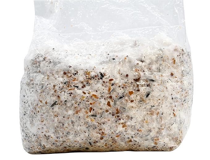 Root Mushroom Farm-Blue Oyster Grain Spawn(NOT A GROW KIT)