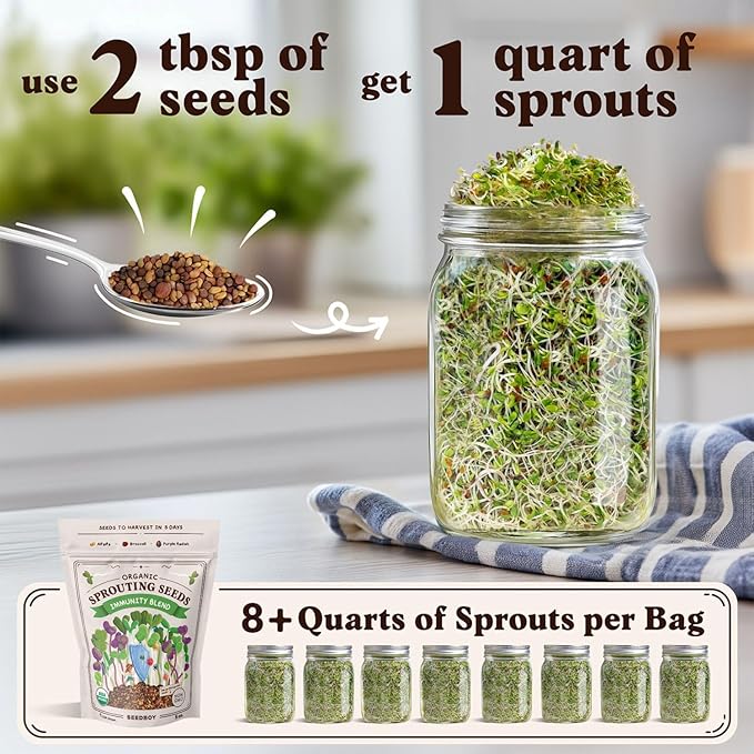 Seedboy Organic Non-GMO Sprouting Seeds, Immune System Booster - USA Grown Microgreens Mix with Broccoli, Purple Radish, Alfalfa - 8 oz Bag Makes 8 Quarts / 24 Servings (Immune System Booster Blend)