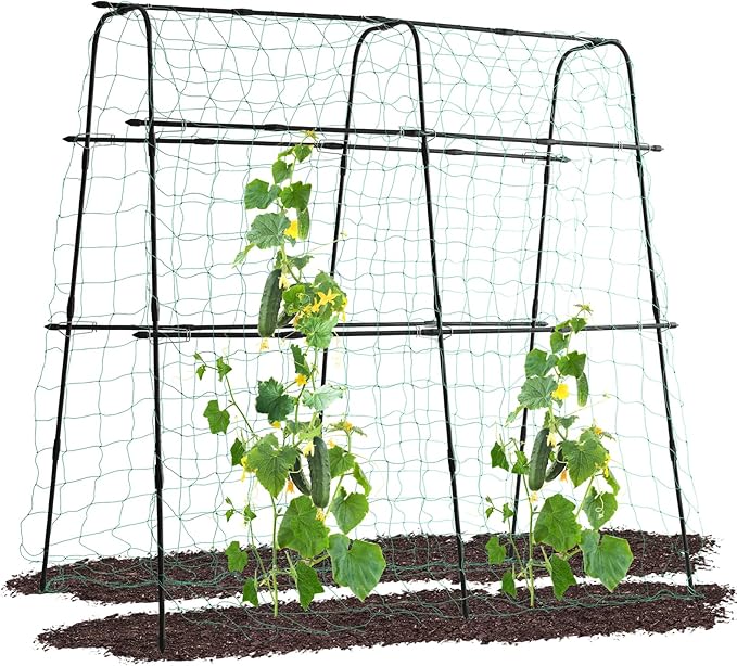 lalahoni Garden Cucumber Trellis for Climbing Plants Outdoor, 5.3 FT Tall Metal Arch Plant Support Vegetable Fruit Flower Vine Plant, Pea Tunnel A-Frame Raised Bed, with Netting, Black, RJ-HPZZ160