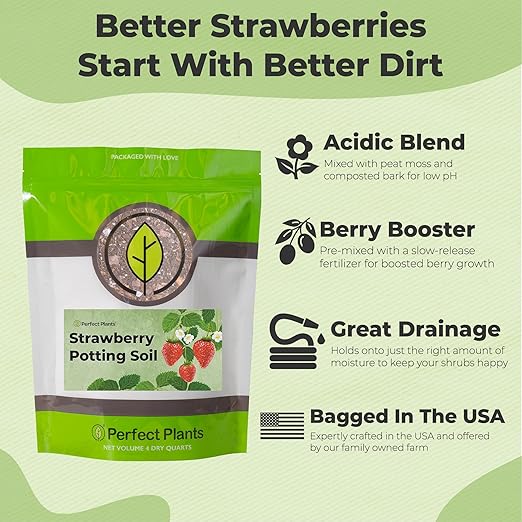 Perfect Plants Organic Strawberry Potting Mix | Organic Premium Mix | Use with Strawberry's, Pineberry's, or Other Fruit Plants (4qt)