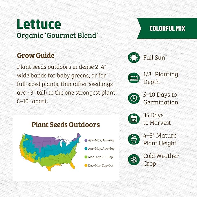 Back to The Roots 100% Organic Heirloom Seeds - Lettuce Value Pack (840mg Total)