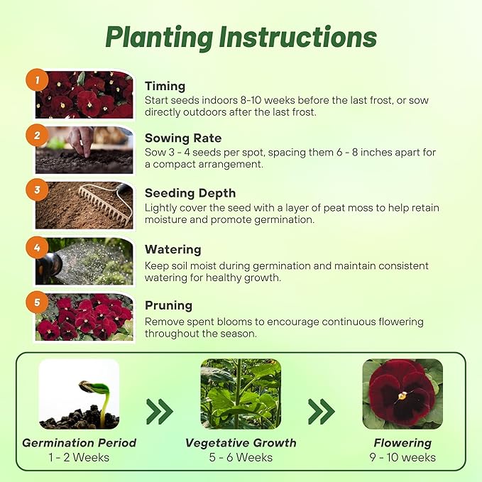 Outsidepride Big Red Viola Pansy Seeds for Planting - 100 Pcs. Biennial, Cold-Hardy & Pollinator Friendly Flowers with Fragrant Blooms for Garden Beds, Borders & Container Displays