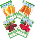 Epic Gardening Roots Seed Bundle - 4 Non-GMO Heirloom Varieties, Includes Beets, Rainbow Carrots & Radishes, Grow Nutritious Root Vegetables for Roasting, Soups & Healthy Homegrown Meals