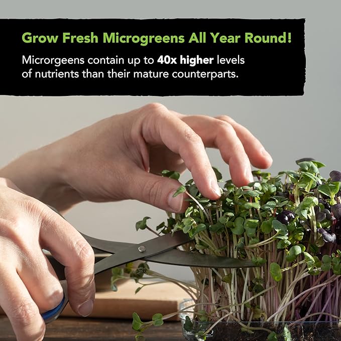 Microgreens Seeds Growing Kit: 5 Micro Green Variety Pack, Broccoli, Beets, Arugula, Spicy, Mild Mix, 100% Non GMO Sprouting Seeds, Organic Microgreen Seed Planting Indoor Garden by Sustainable Sprout
