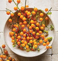 Burpee 'Yellow Currant', Yellow Sweet Cherry Tomato, 30 Non-GMO Seeds